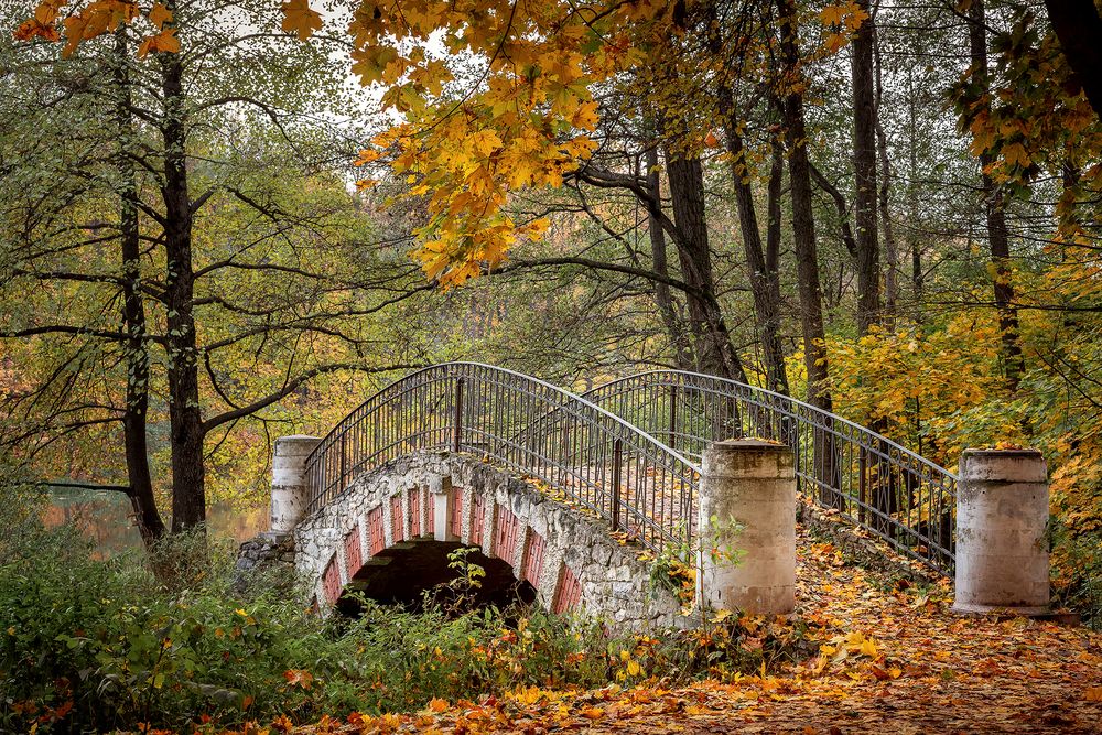 Мостик в Кузьминском парке