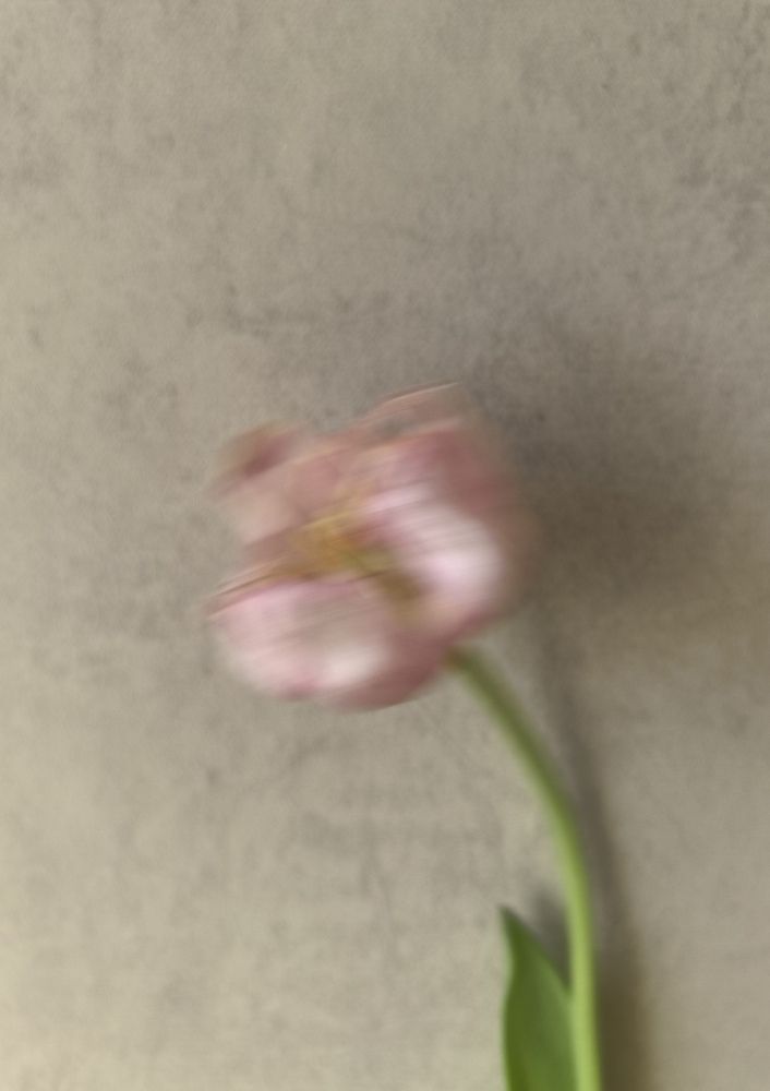 Photograph by Наталья Жуковская