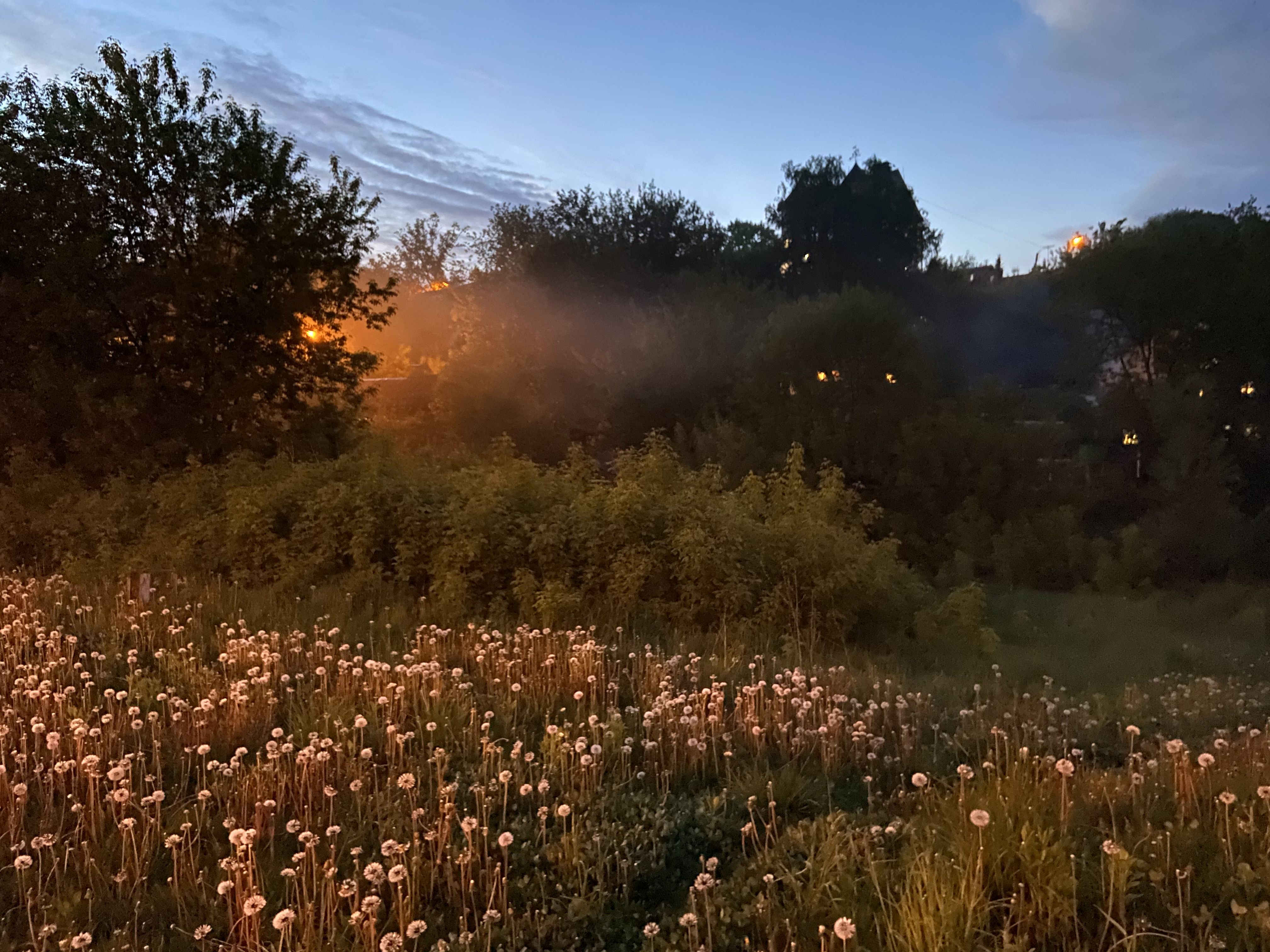 Photograph by Эллина Арденн