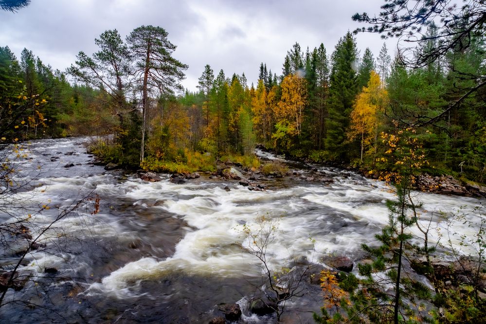 Photograph by ARTEM KORZHUKOV