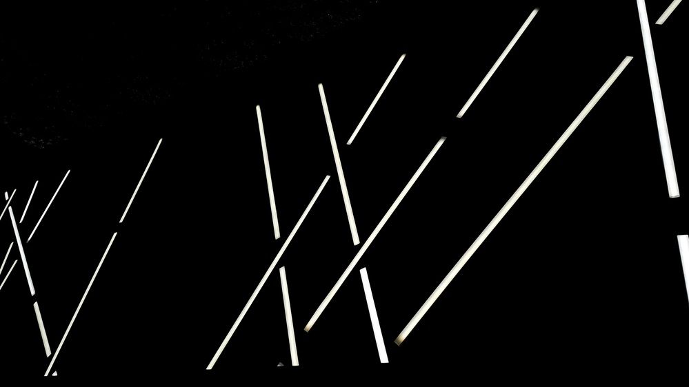 Фотография автора Ярослава Лебедева