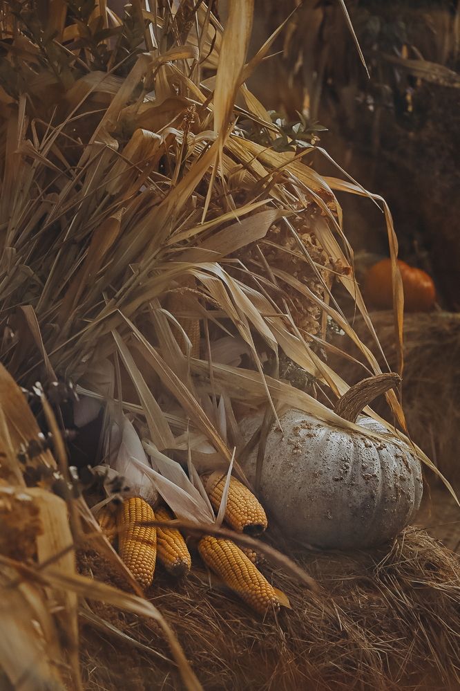 Фотография автора Наталья Бабицкая