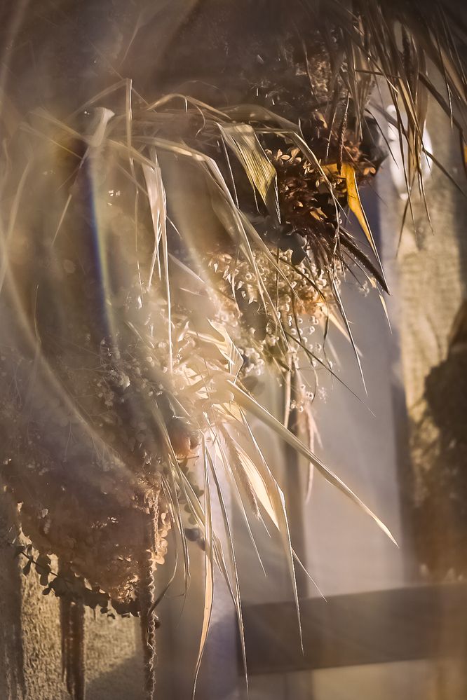 Фотография автора Наталья Бабицкая