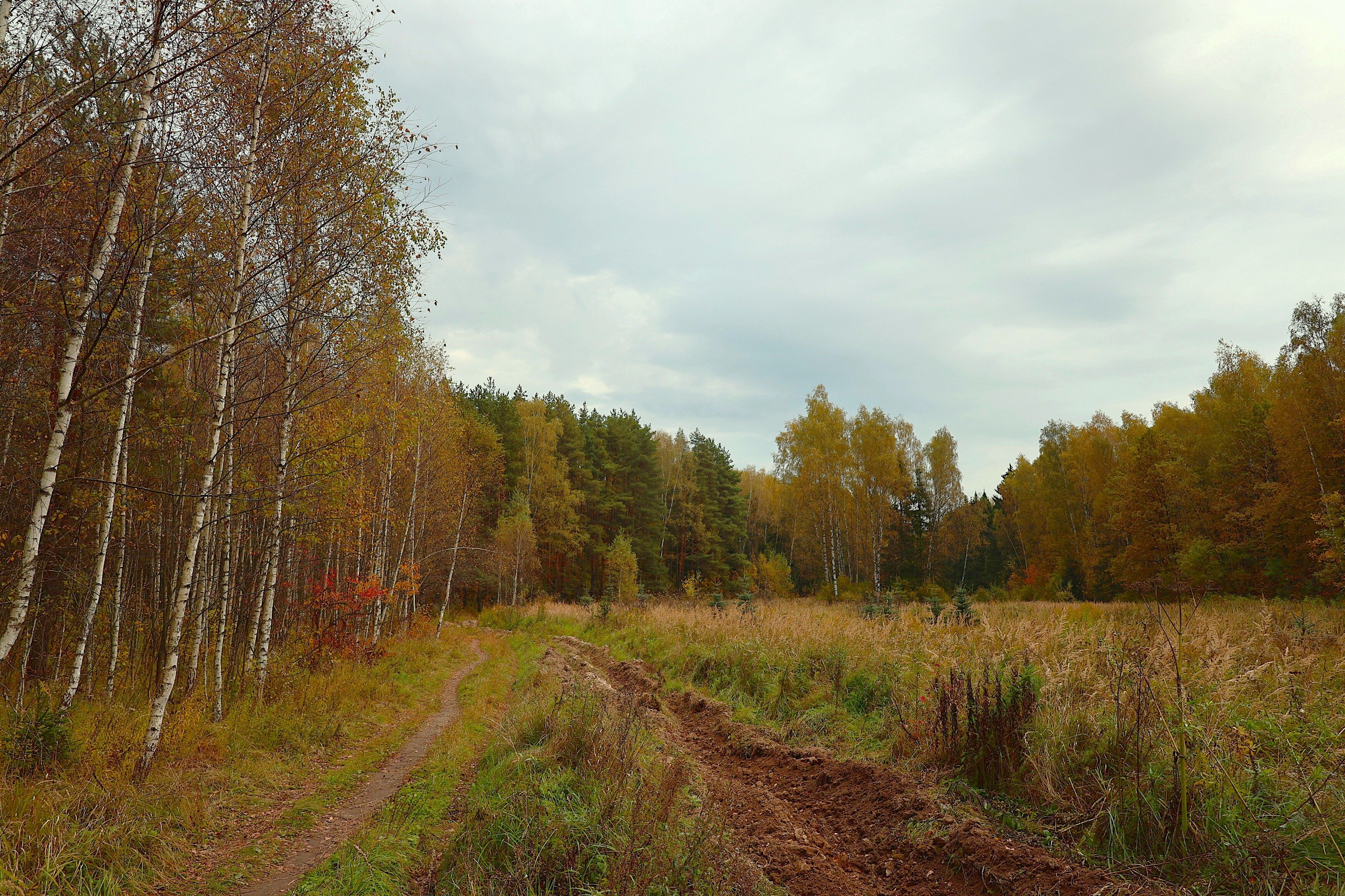 Photograph by Гагик Саркисян