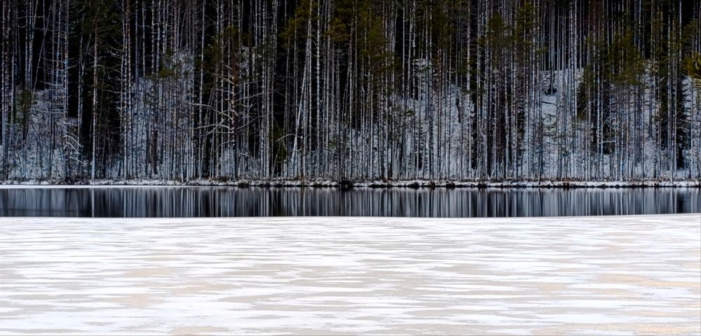 Photograph by Александра Раева