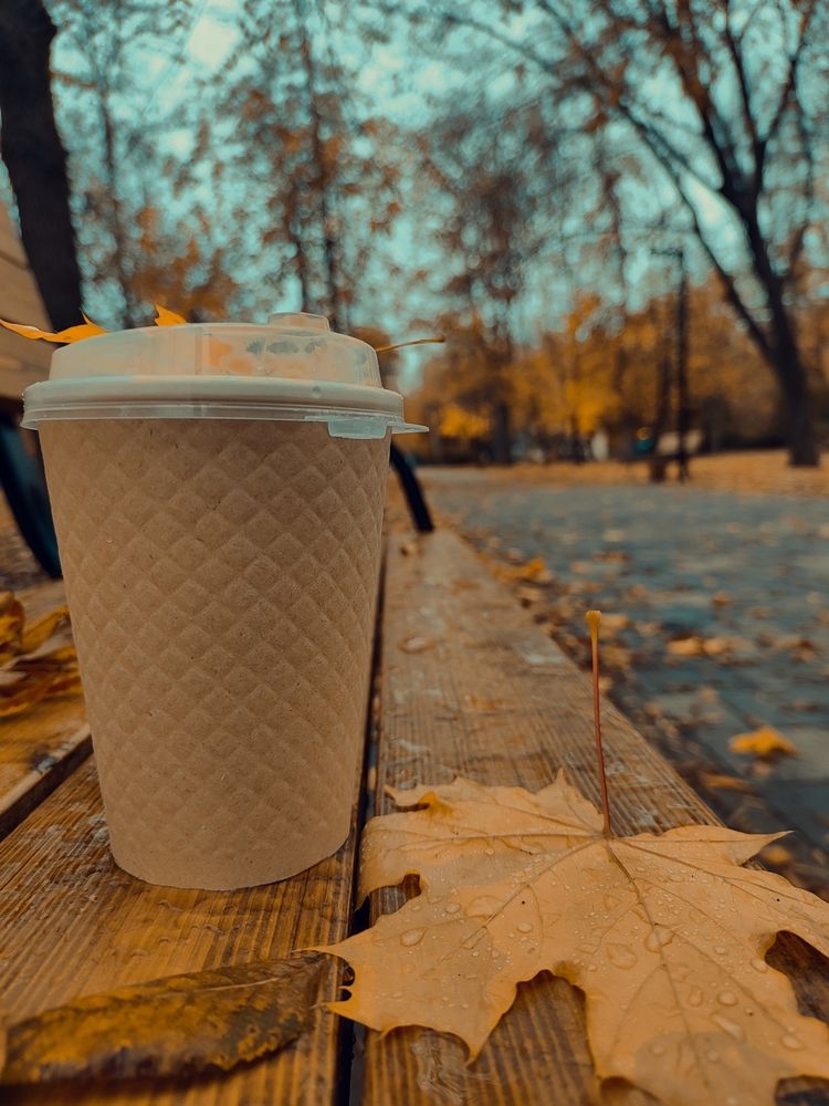 Photograph by Анна Напримерова