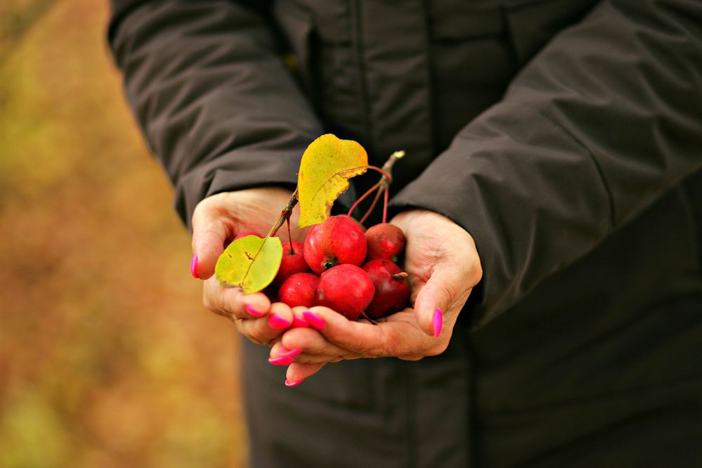 Photograph by Арина Прокшина