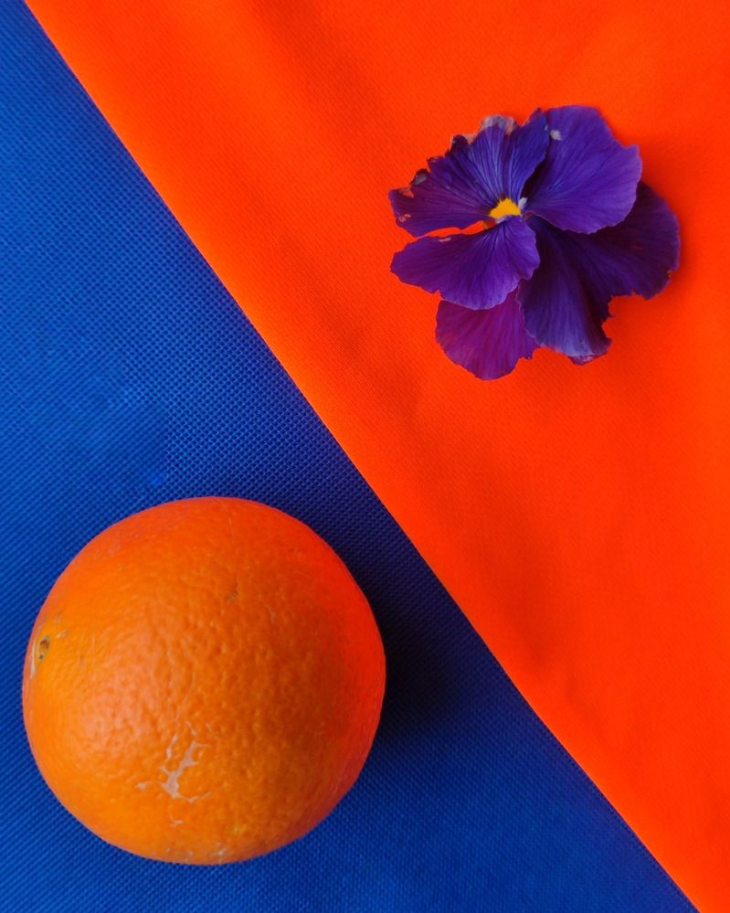 Photograph by Аlina BRAZIUL