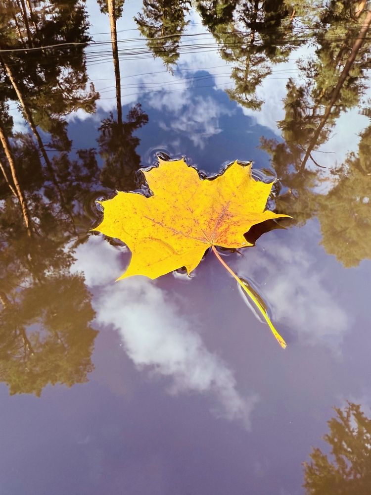 Photograph by Анастасия Германова