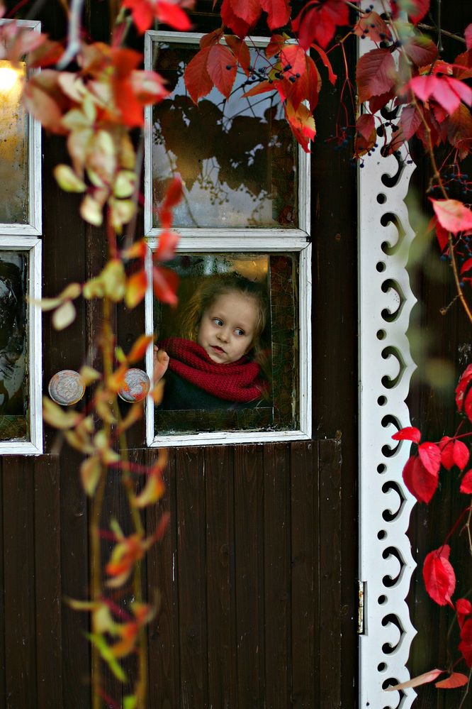 Photograph by Арина Прокшина