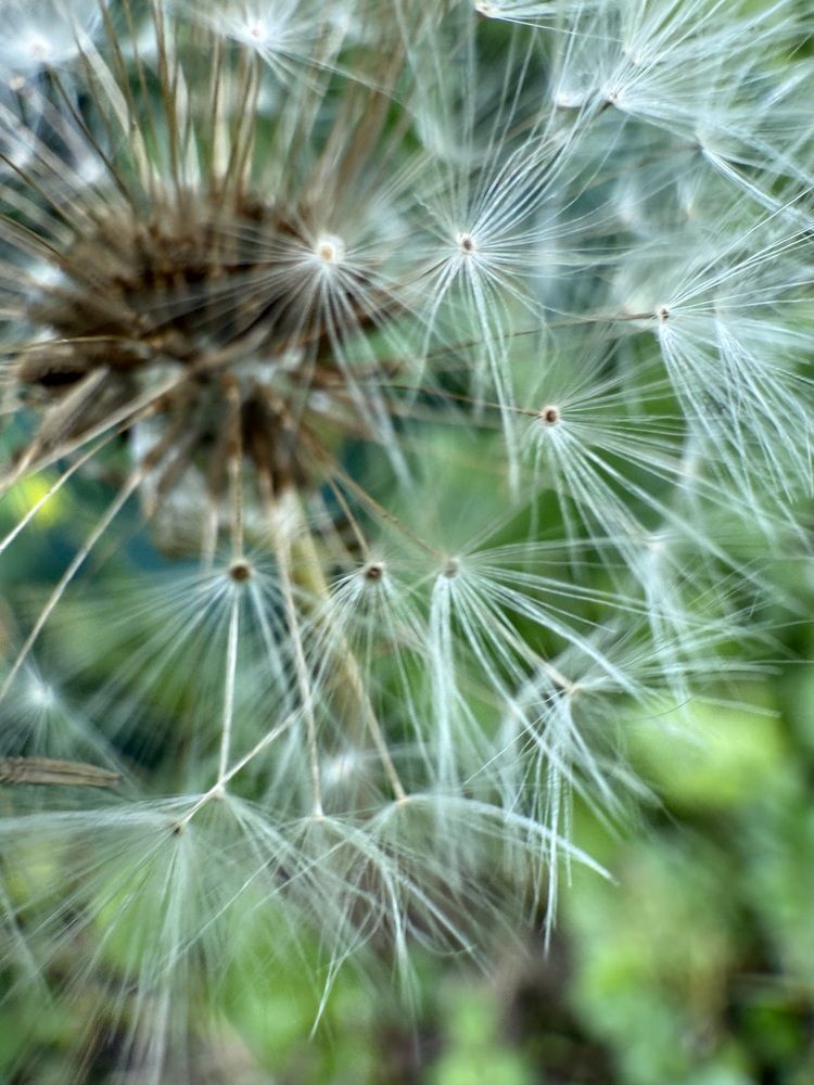 Photograph by Анастасия Германова