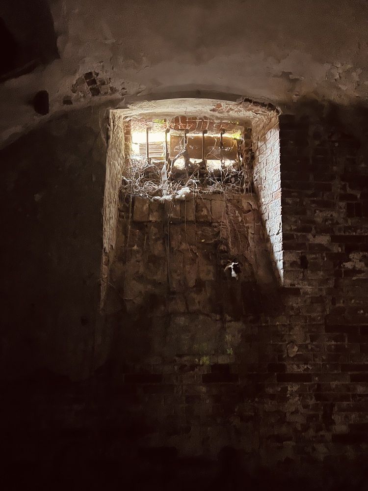 Photograph by Алёна Маринина