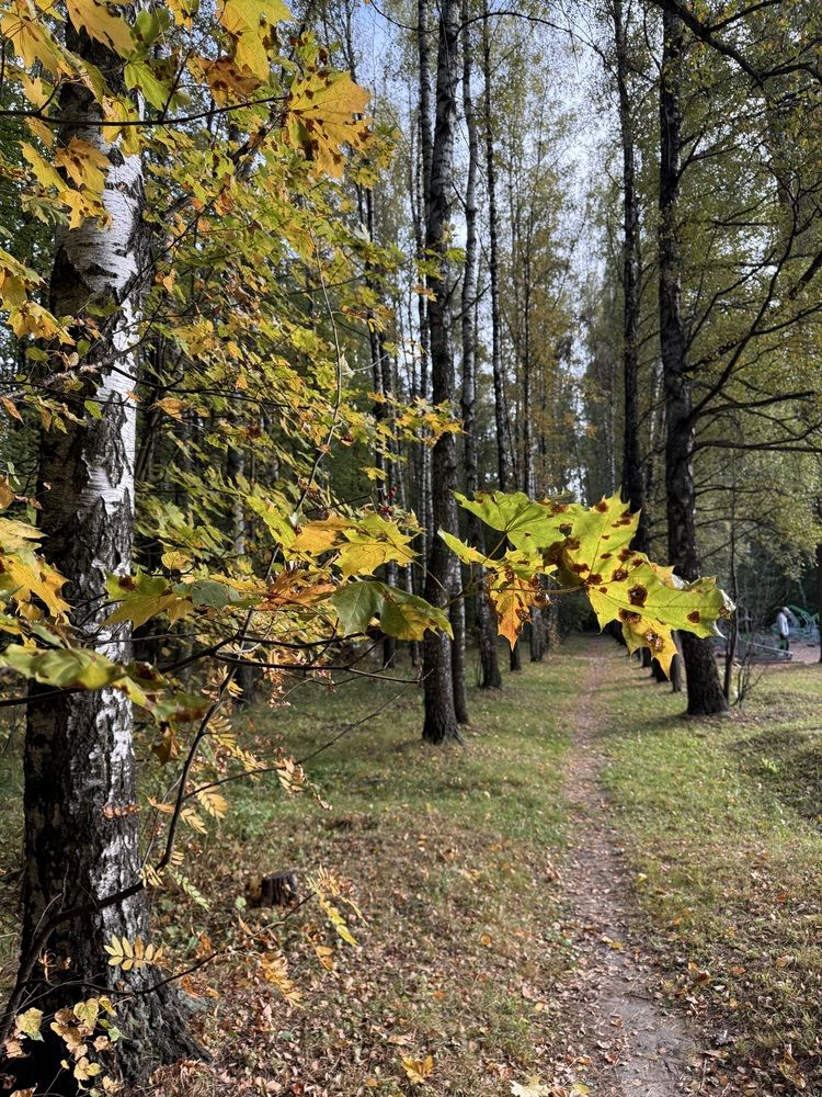 Фотография автора Виктория Ляпина