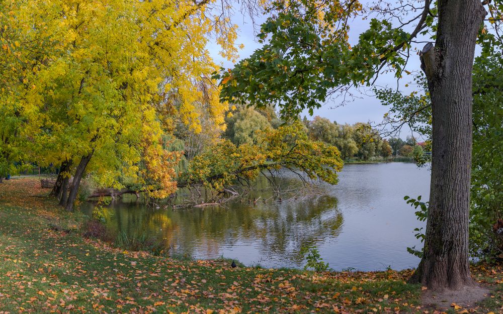 Фотография автора Артём Слепухин