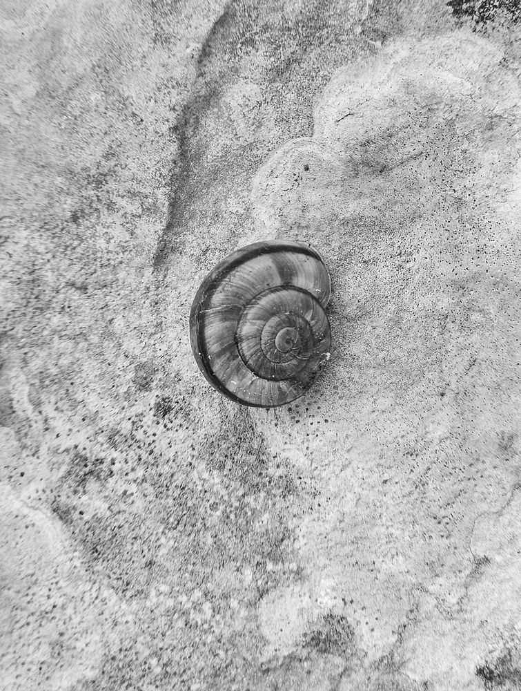 Photograph by George Alexandru Ghiuro