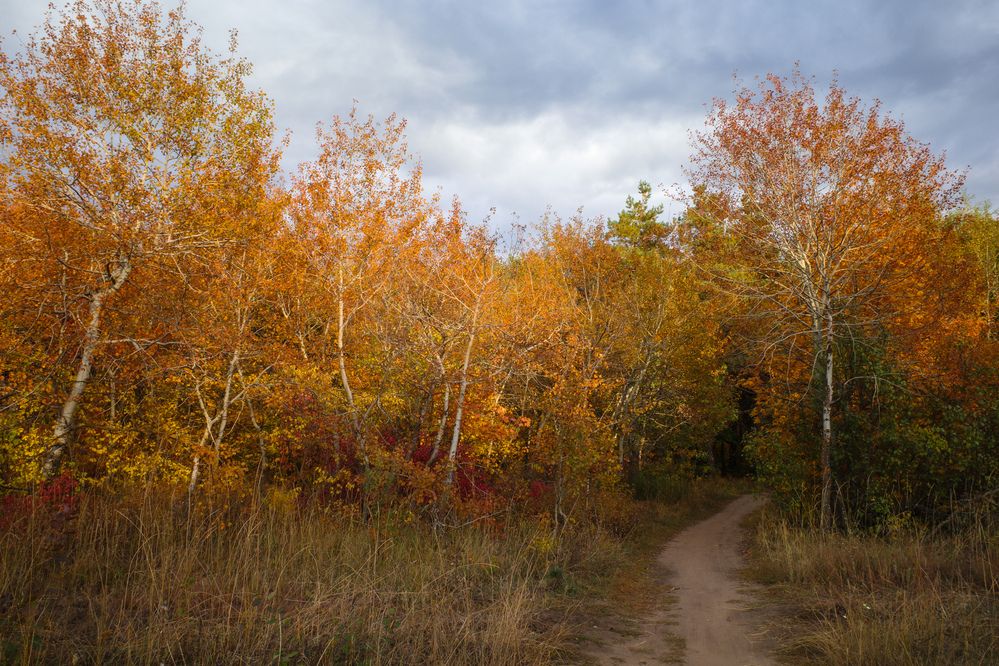 Photograph by Алла Никушкина