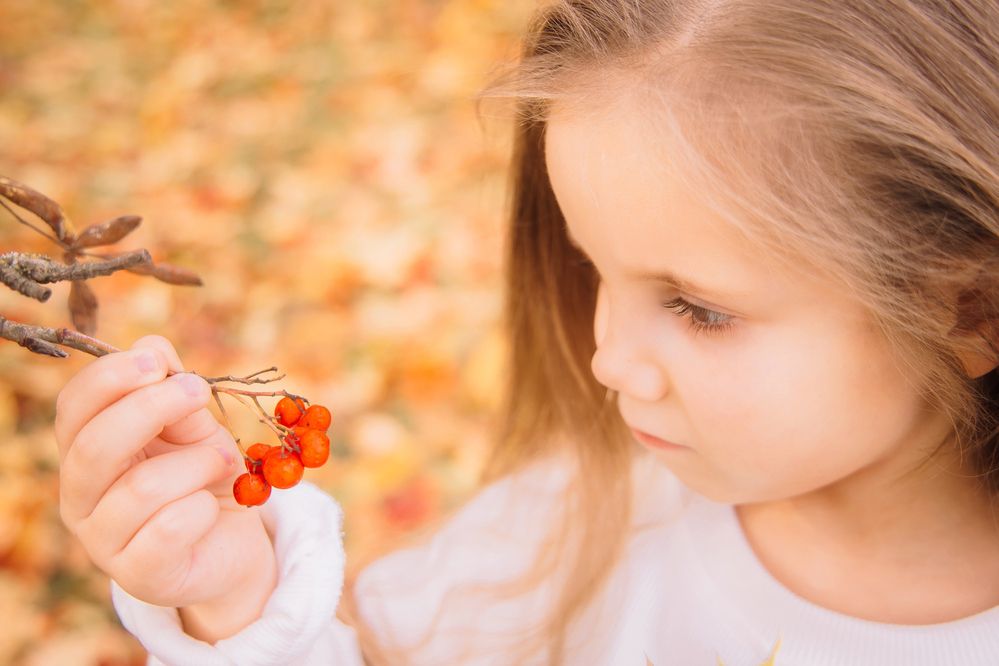 Photograph by Татьяна Смирнова