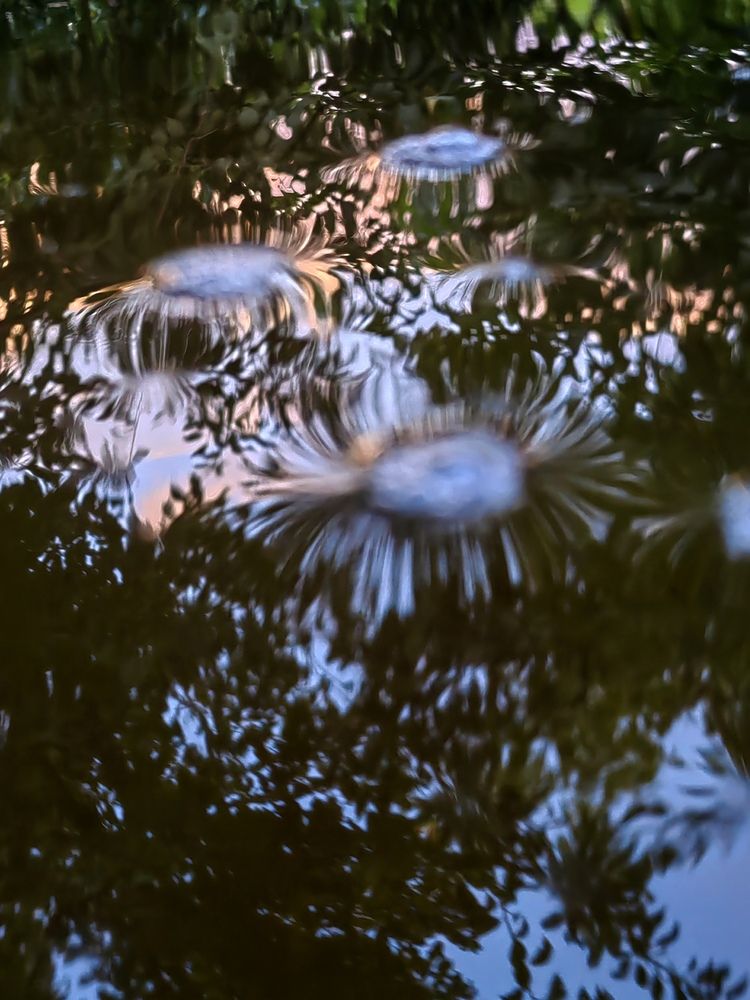 Photograph by Ульяна Кузьмина