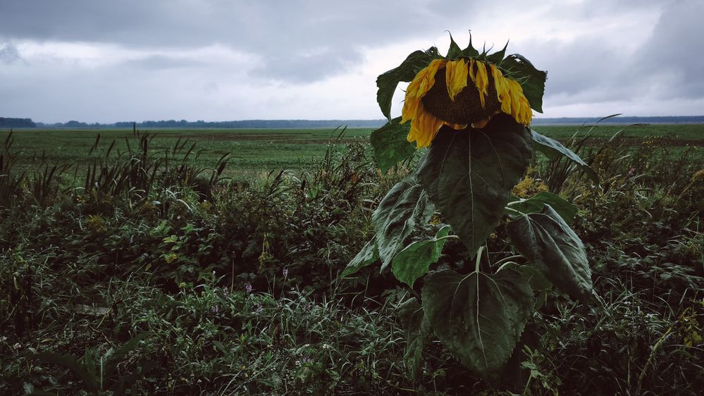 Photograph by Юлия Черкасова