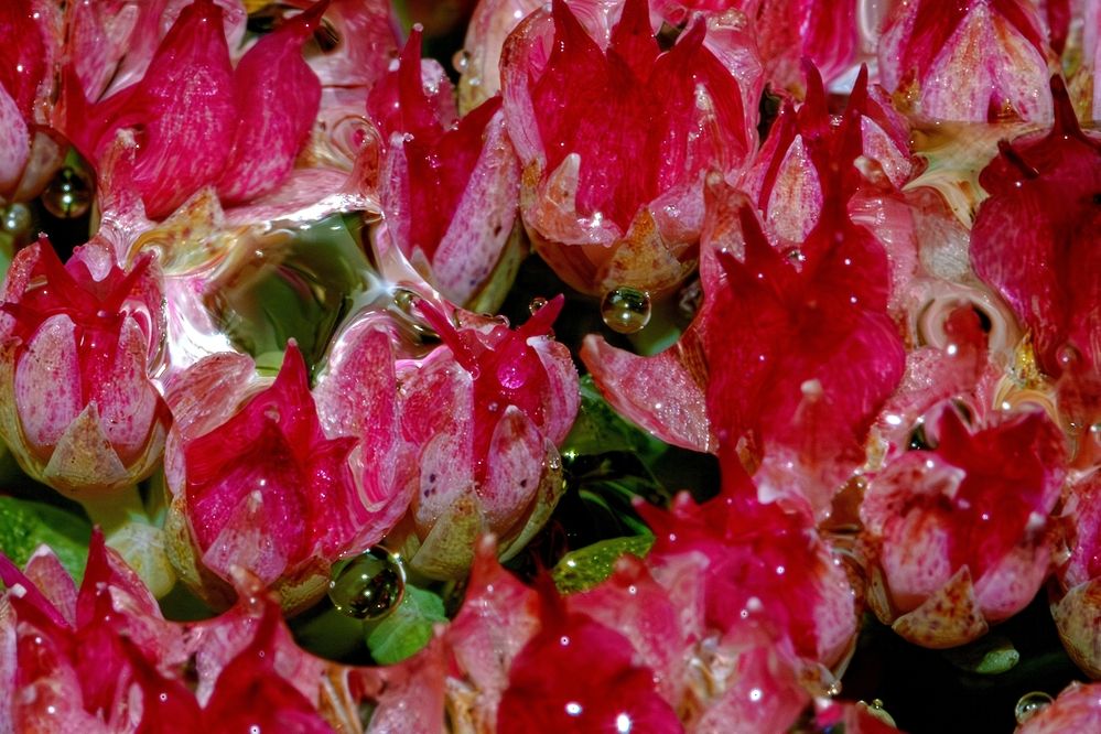 Photograph by Михаил Косолапов