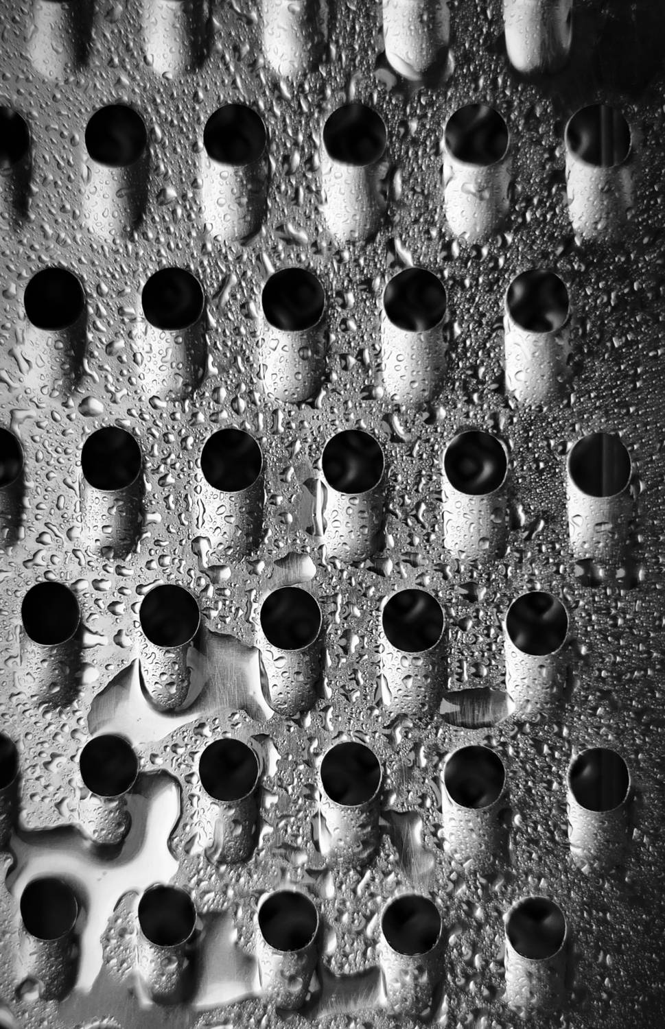 Photo #12708828