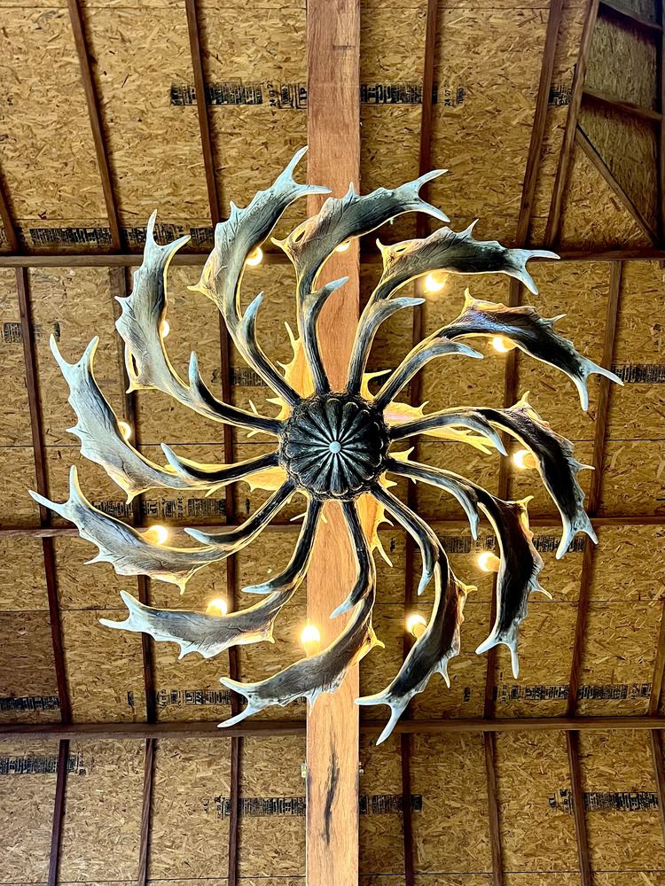 Фотография автора Antonio Etevaldo Rodrigues Junior