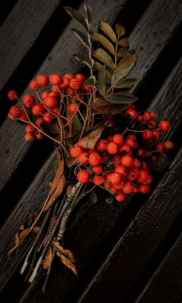Photograph by Юлия Черкасова