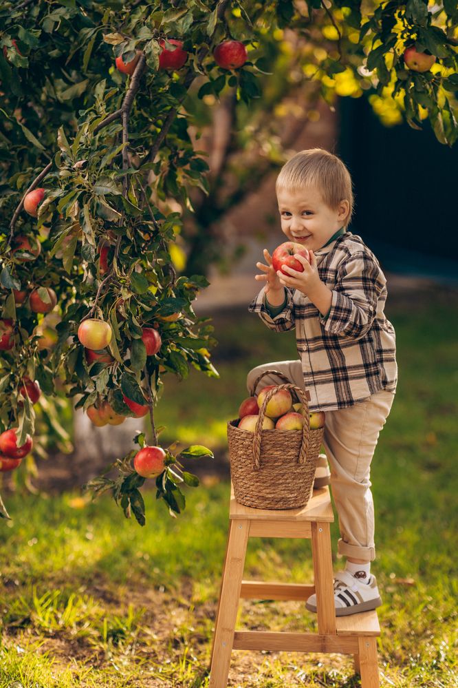 Photograph by Irina Chka