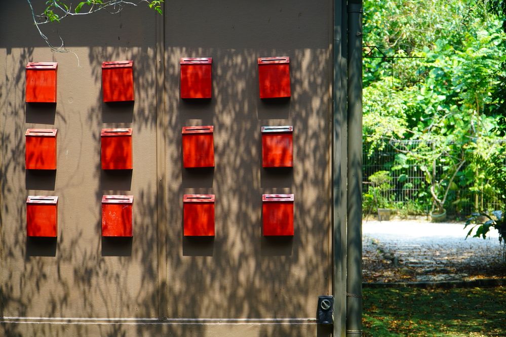 Photograph by Samuel Chan