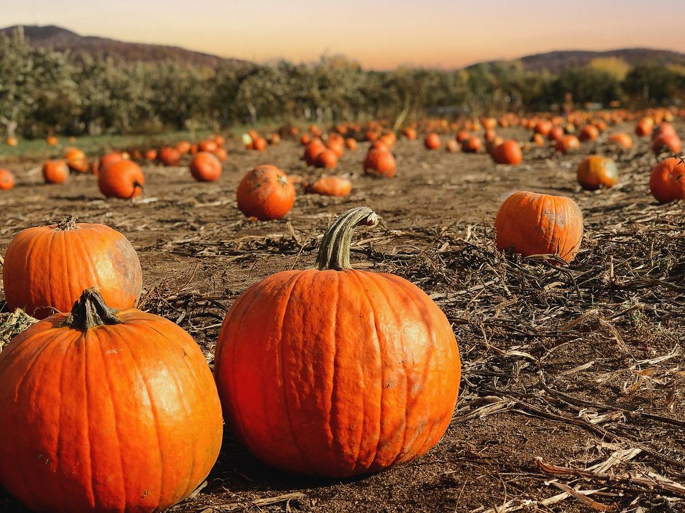 Photograph by Meilleurs Moments