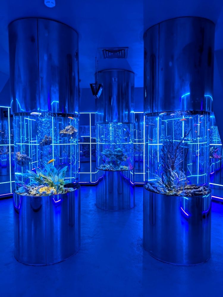 Photograph by Анастасия Широкова