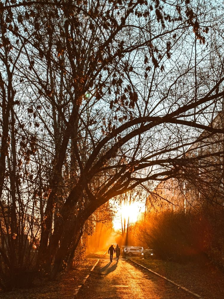 Photograph by Анастасия Широкова