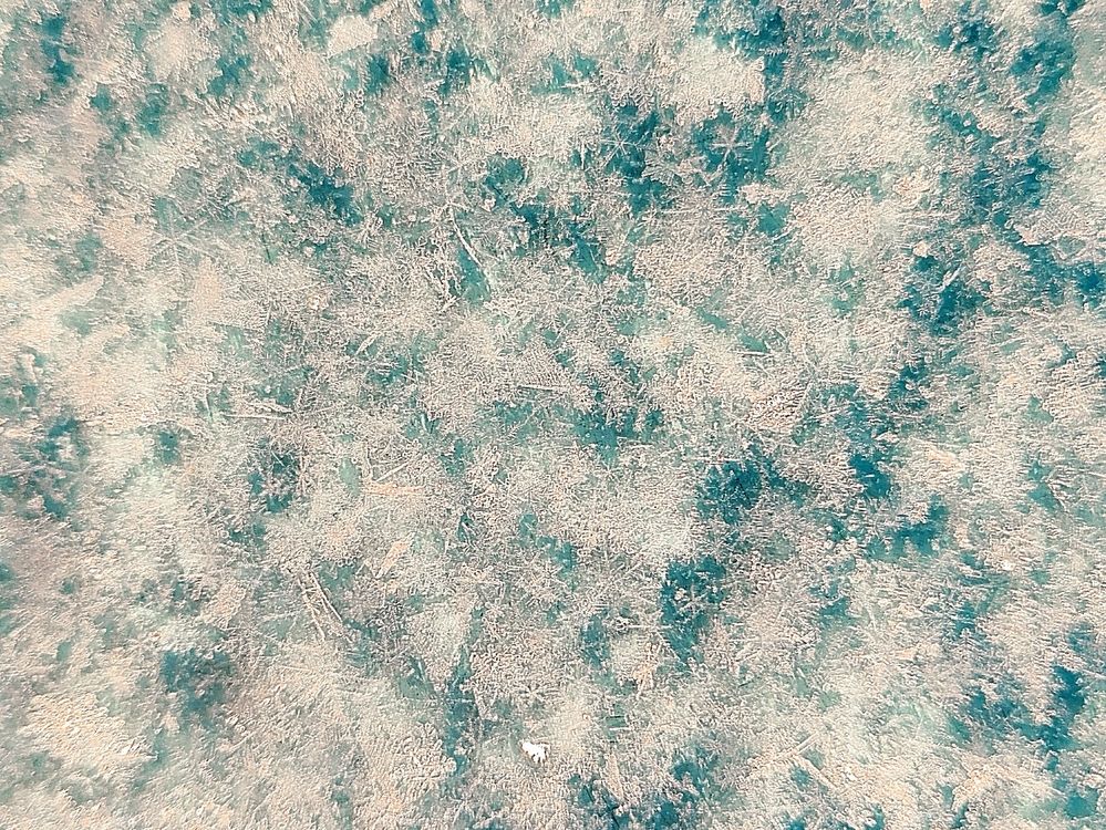 Photograph by Анастасия Широкова