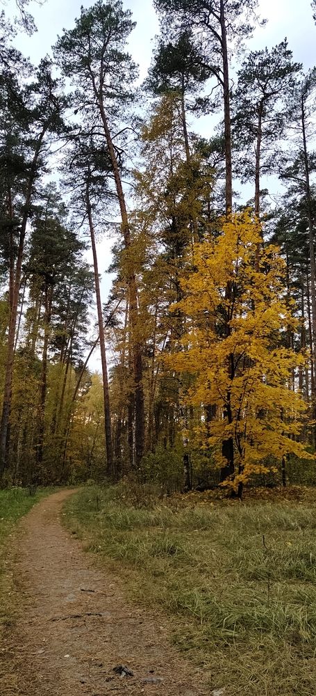 Photograph by Татьяна Нестерова