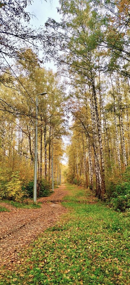 Photograph by Татьяна Нестерова