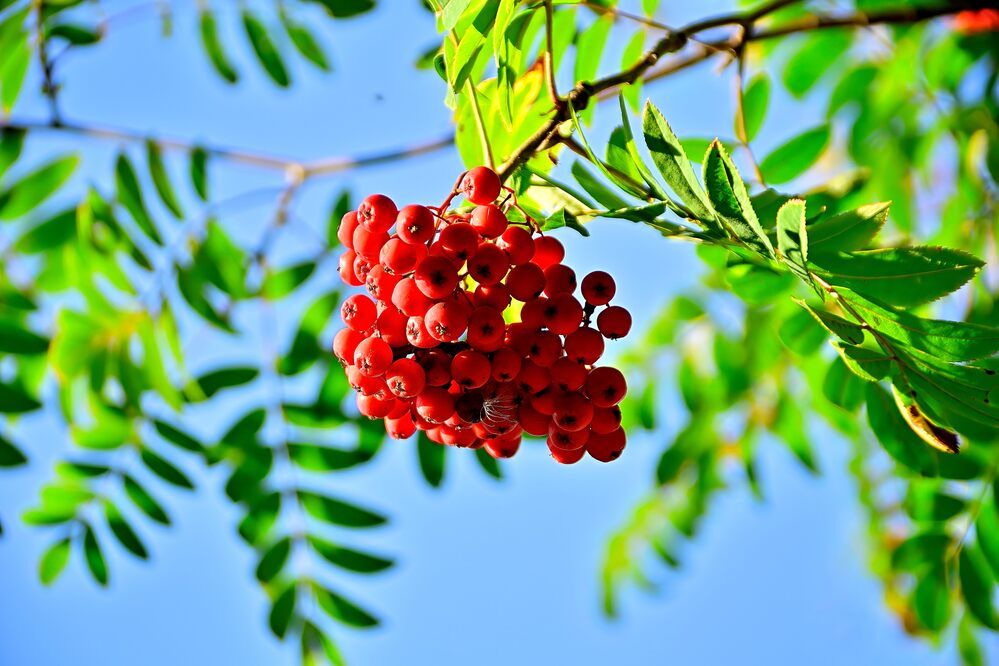 Photograph by Владимир Мигонькин