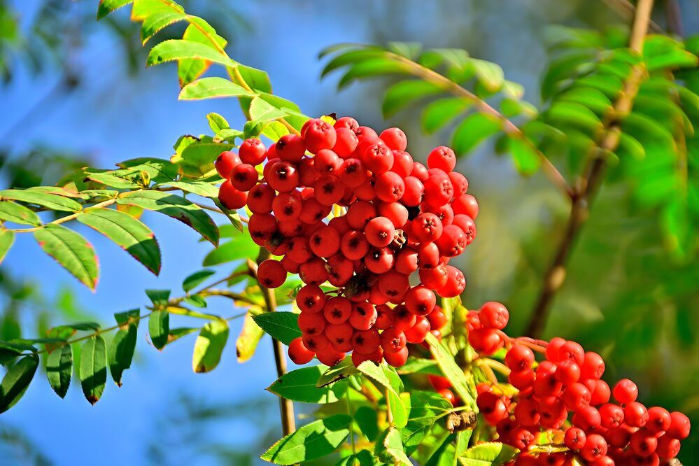 Photograph by Владимир Мигонькин