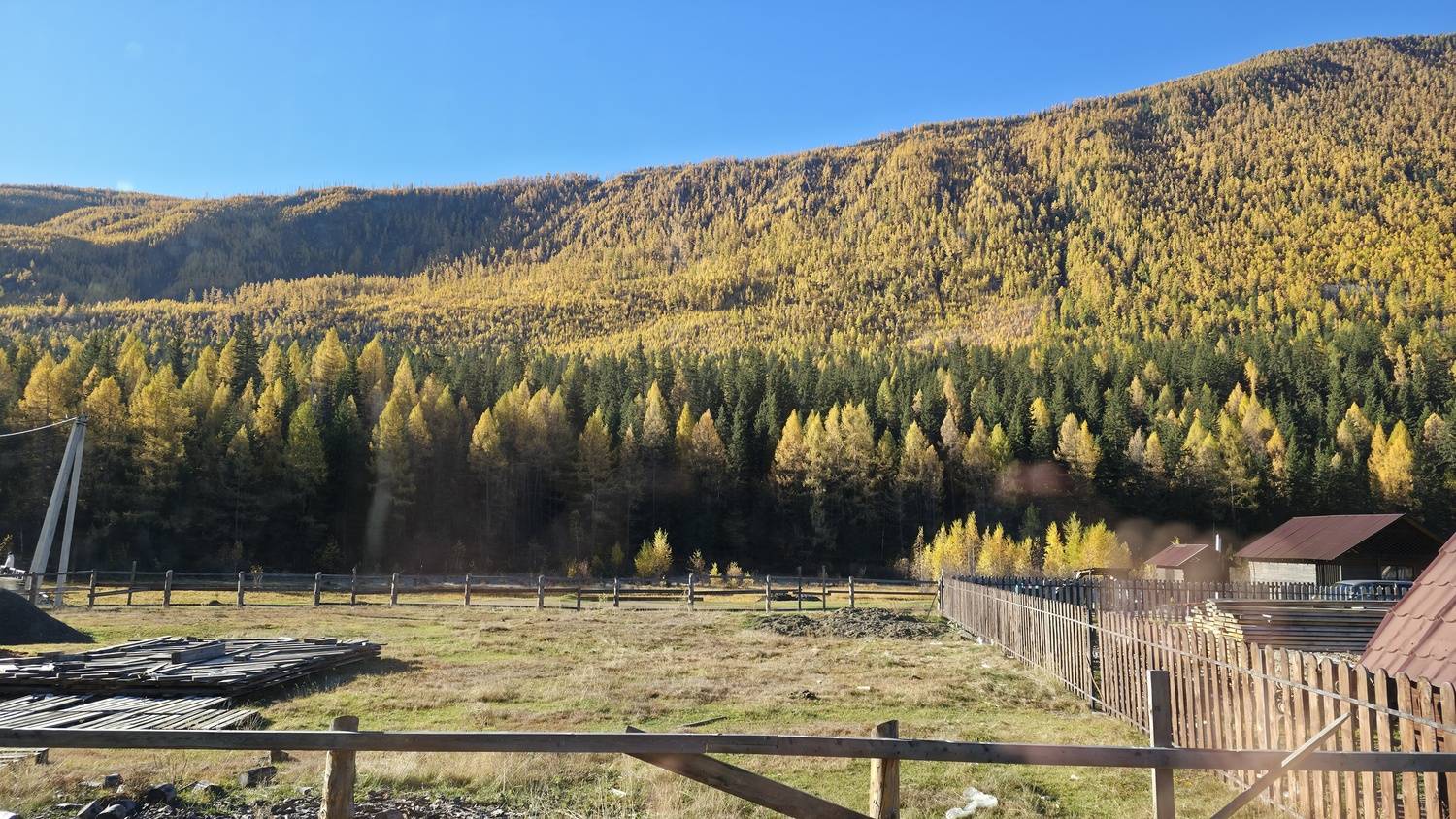 Photo #12708989