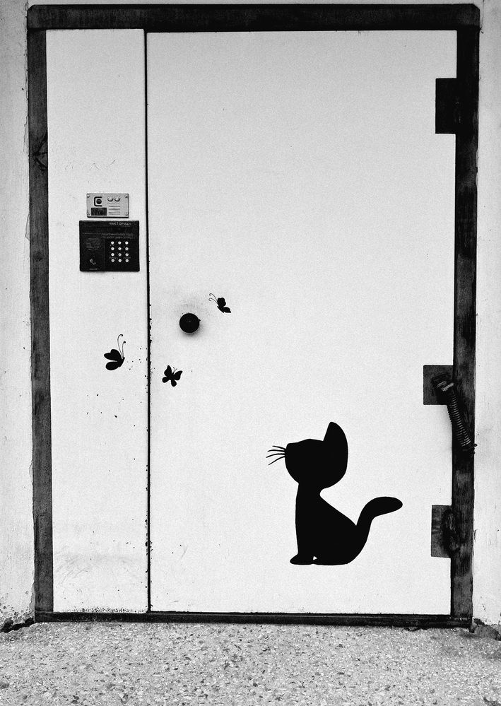 Photograph by Ирина Александрович