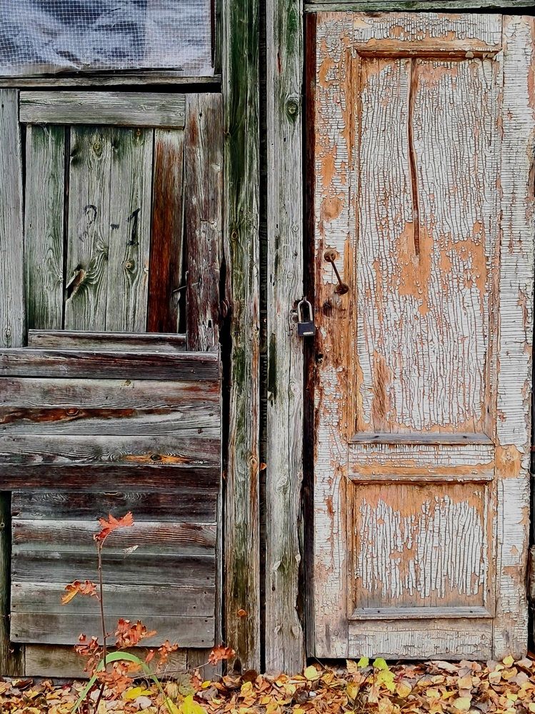 Photograph by Ирина Александрович