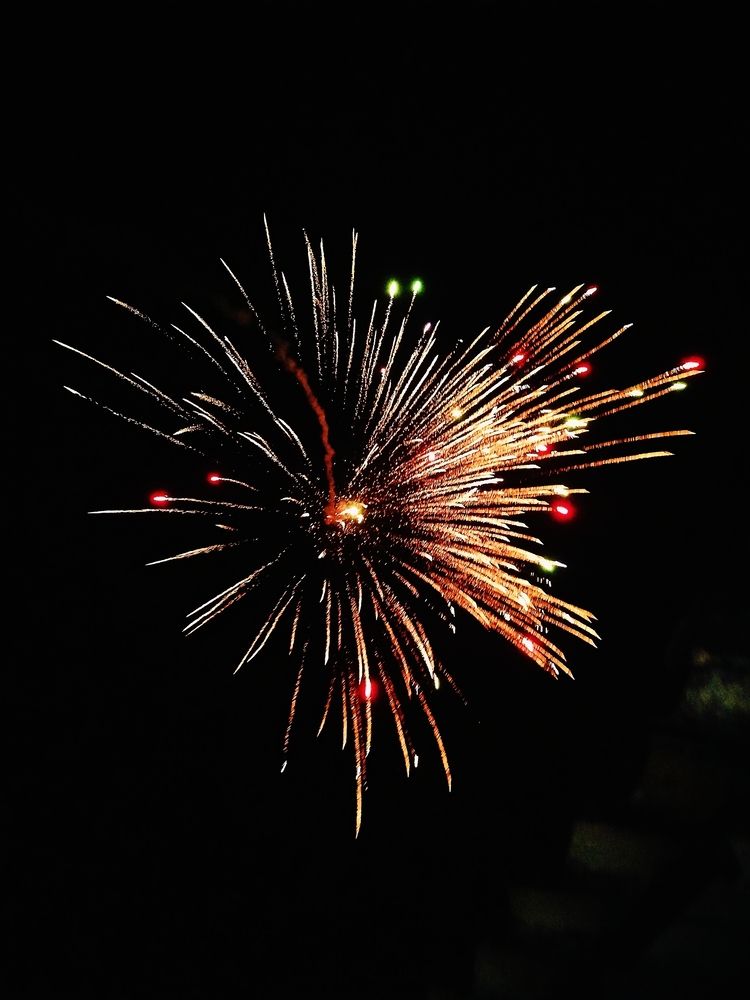 Photo #12709031