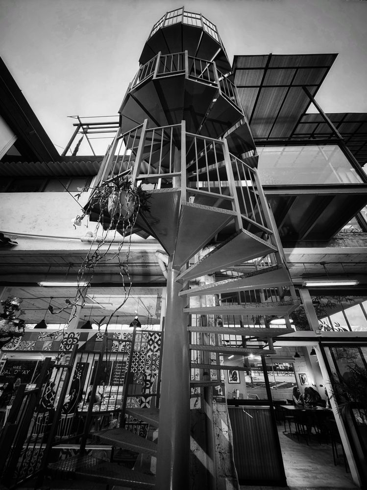 Photograph by Susie Castellano