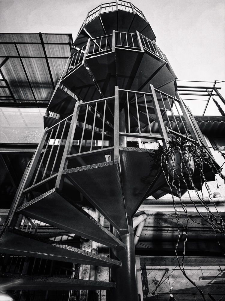 Photograph by Susie Castellano