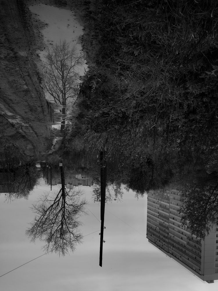 Photograph by Калюнова Наталья