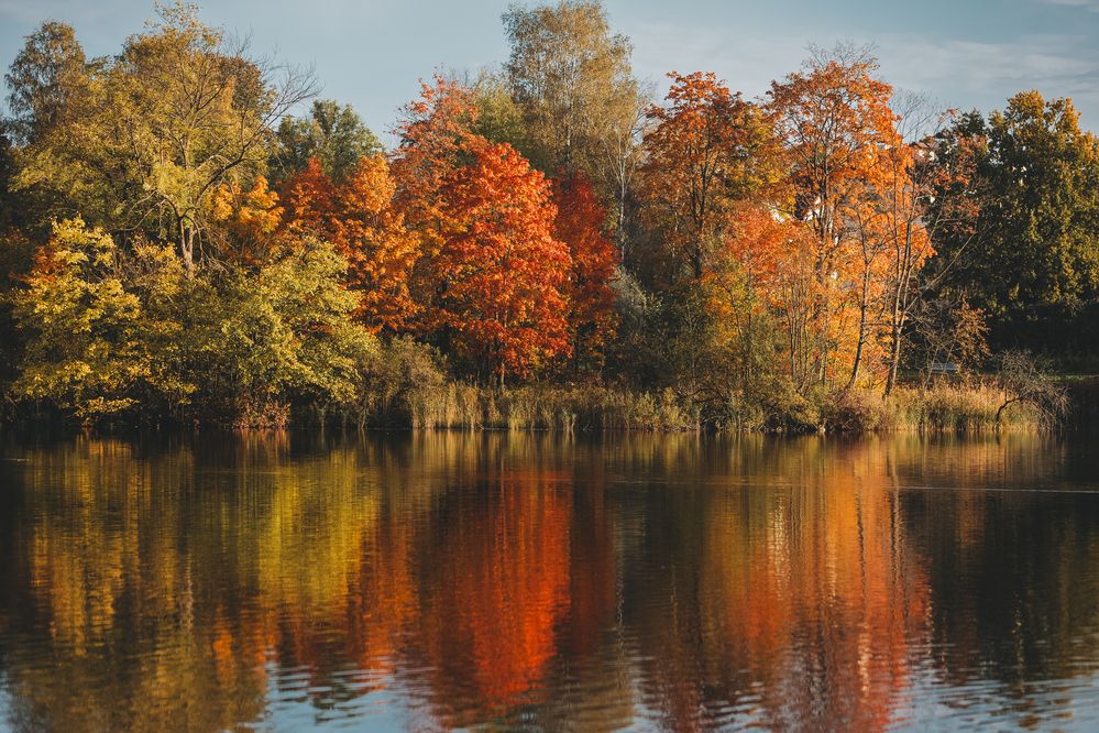 Photograph by Мария Клещенко