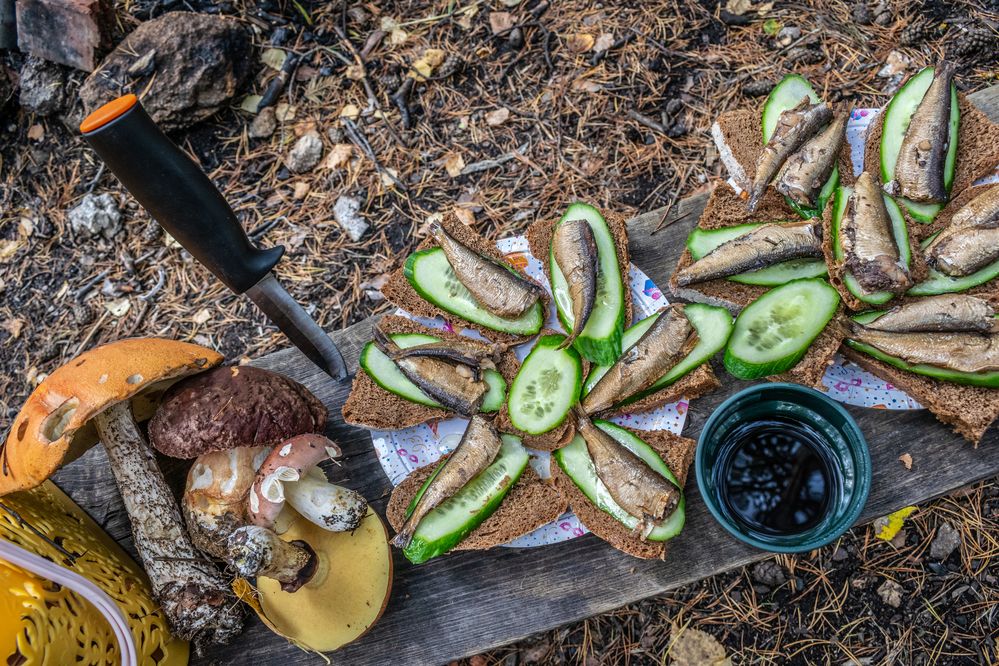 Photograph by Дмитрий Анисимов