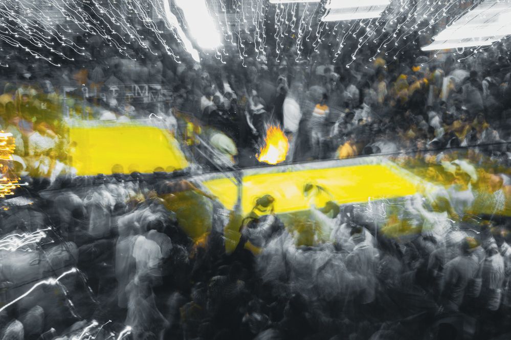 Фотография автора ABHISHEK SHAH