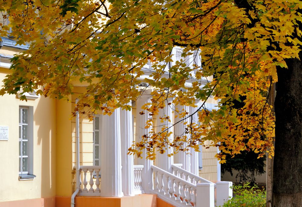 Photograph by Дмитрий Жуков