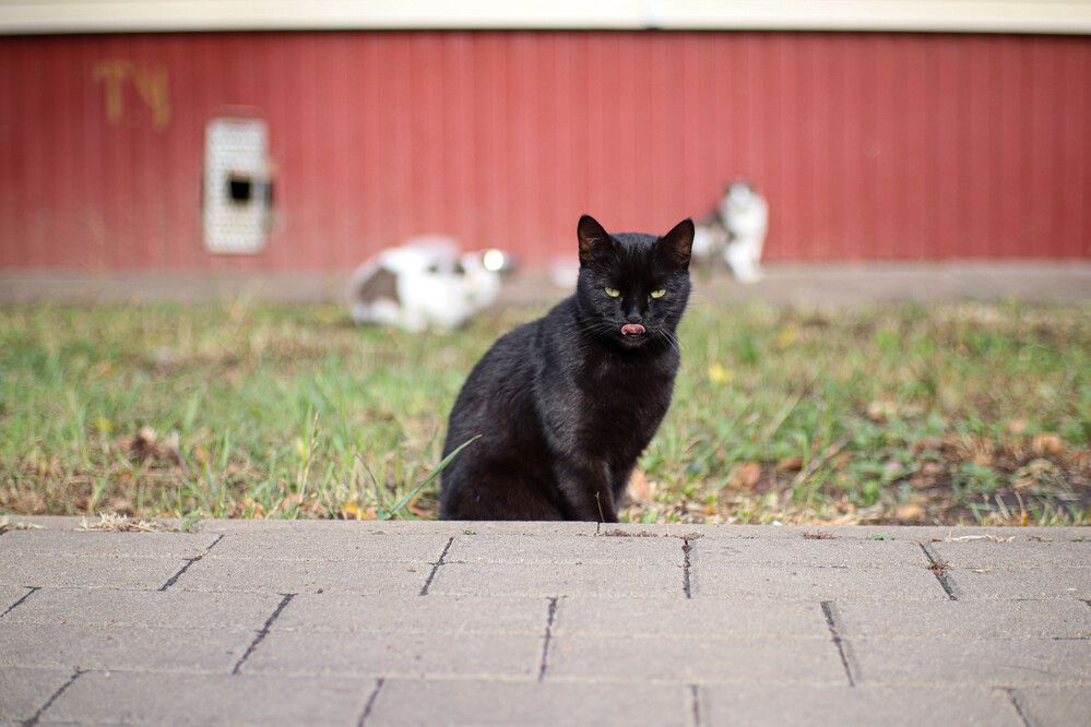 Photograph by Александр Лобынцев