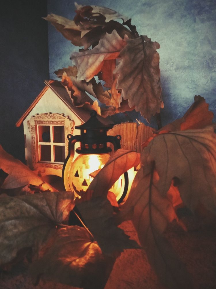 Домик. Листья. Тыква. Redmi A3.